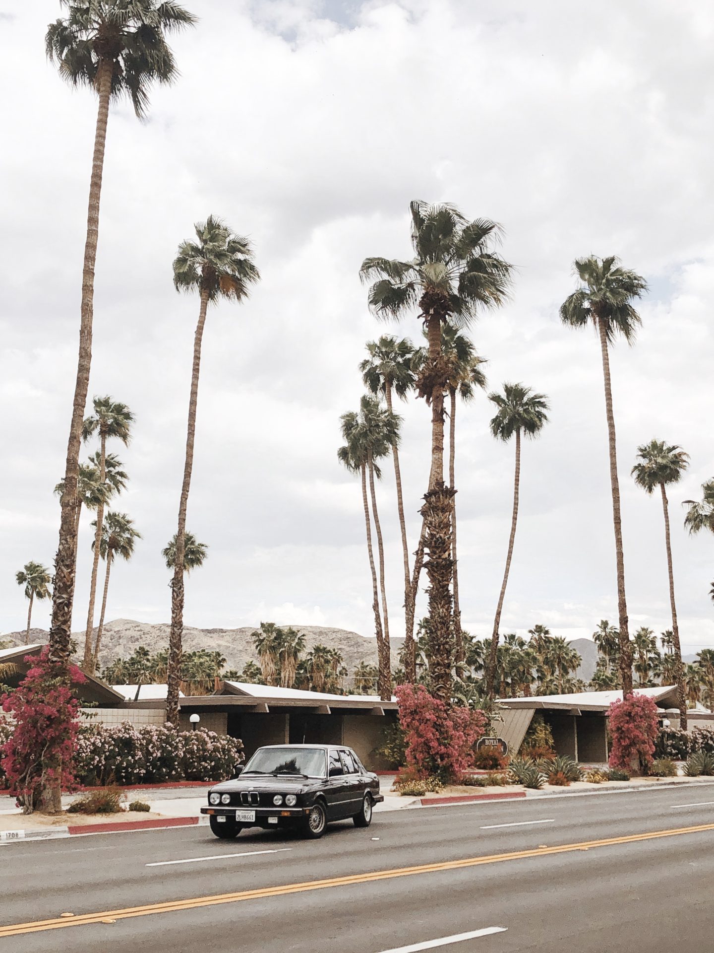 Things to Do in Palm Springs