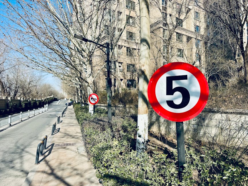 Street scene featuring a speed limit sign of 5 with winter barren trees lining the road.
