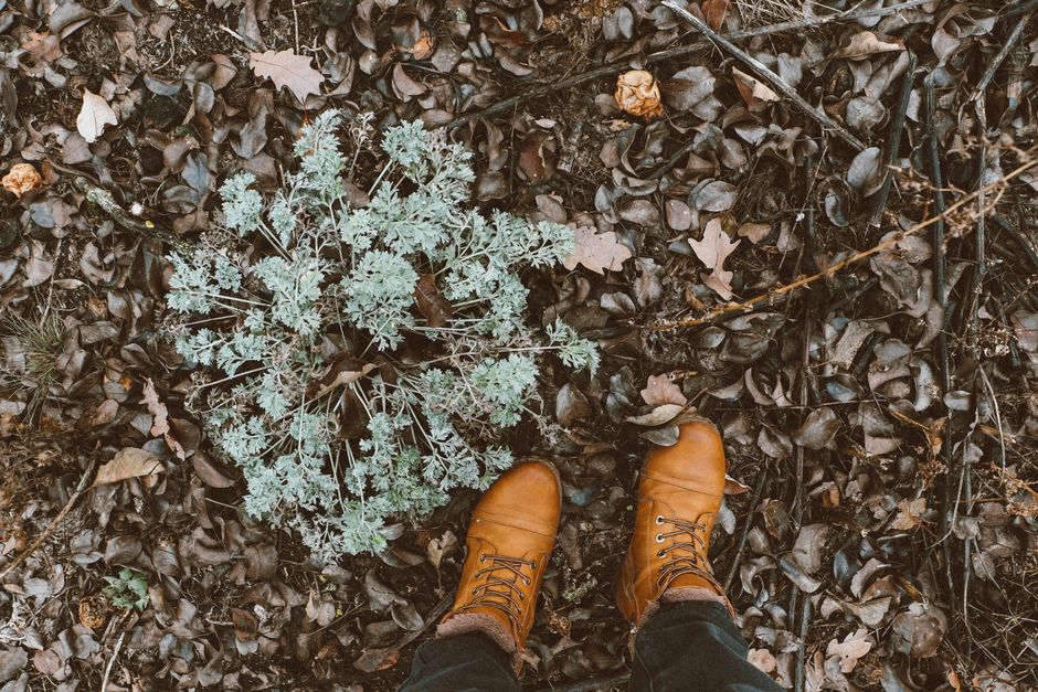 A person wearing brown boots standing on a forest floor covered with autumn leaves.