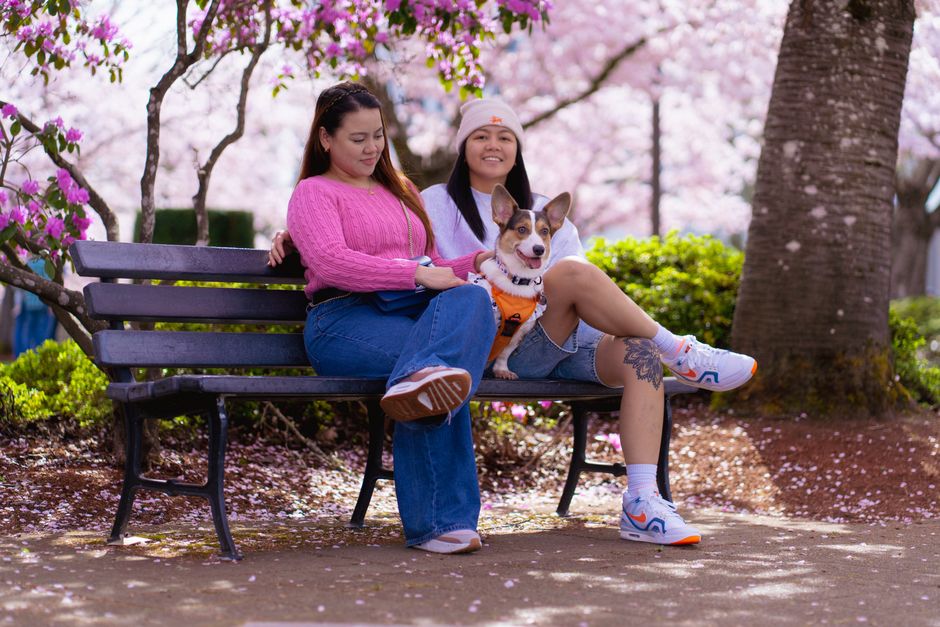 Two adults enjoying a park bench with a dog surrounded by spring blossoms.